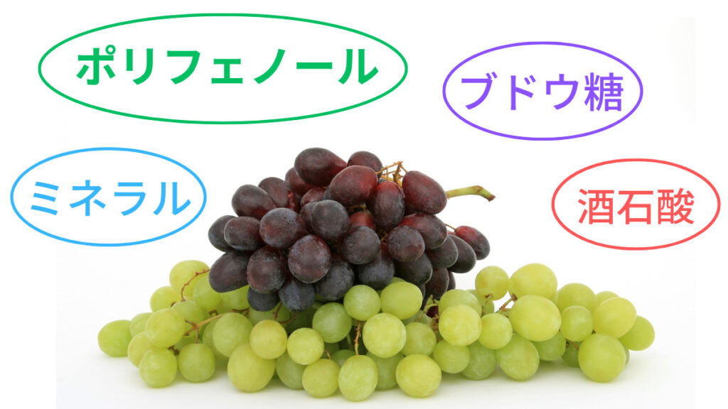 ブドウの栄養素