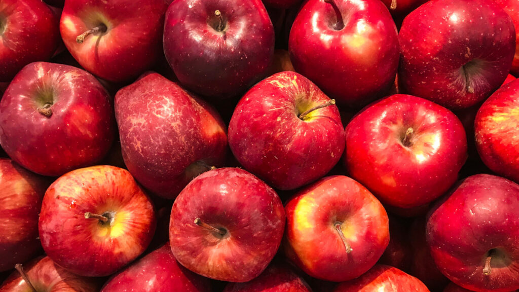 リンゴの産地や品種の紹介
