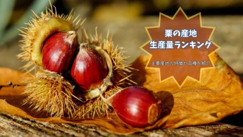 栗の産地-生産量ランキング- 