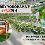 the-berry-yokohamaでいちご狩りレビュー