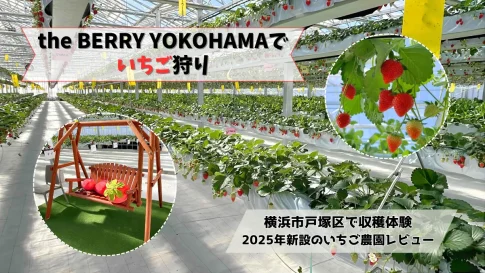 the-berry-yokohamaでいちご狩りレビュー