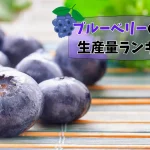 ブルーベリーの産地＆生産量ランキング