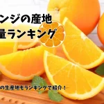 オレンジの産地＆輸入量ランキング