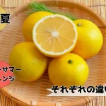 日向夏＆小夏＆ニューサマーオレンジの違い