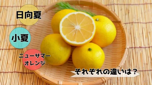日向夏＆小夏＆ニューサマーオレンジの違い