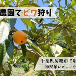 里見農園でビワ狩り