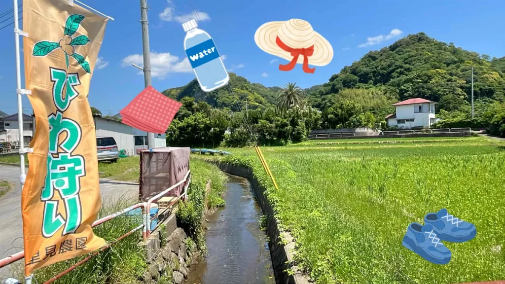 持ち物&服装