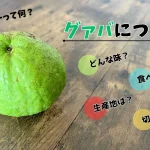 ばんしるーって何？グアバの味・食べ頃・切り方・生産地について