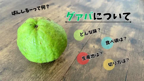 ばんしるーって何？グアバの味・食べ頃・切り方・生産地について