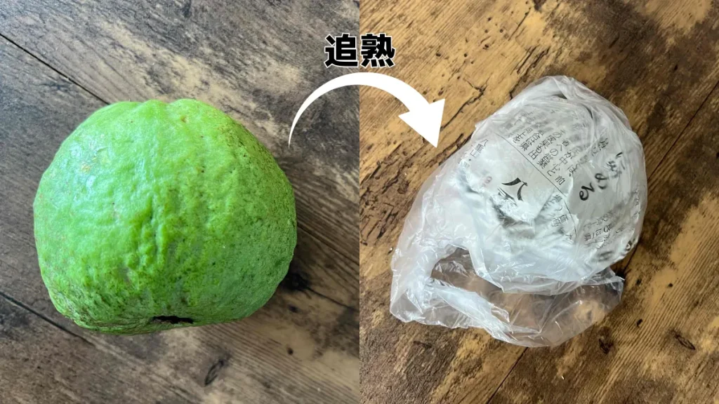 グァバの食べ頃(追熟方法)&切り方&味わい