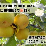 FRUIT PARK YOKOHAMA（芝口果樹園)で梨狩りレビュー！