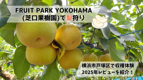FRUIT PARK YOKOHAMA（芝口果樹園)で梨狩りレビュー！