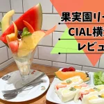 果実園リーベルCIAL横浜店来店レビュー