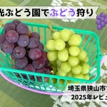 宮信観光ぶどう園でぶどう狩り