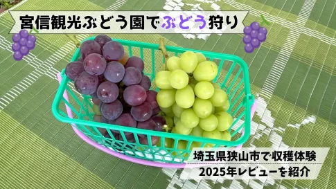 宮信観光ぶどう園でぶどう狩り