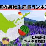 北海道の果物生産量ランキング