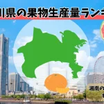 神奈川県の果物生産量ランキング