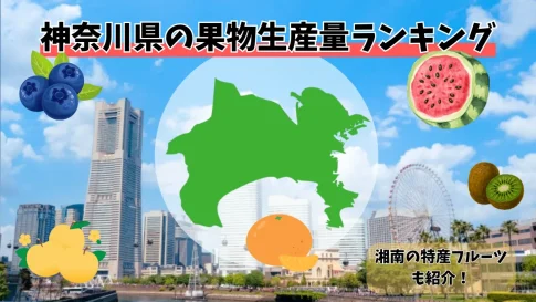神奈川県の果物生産量ランキング