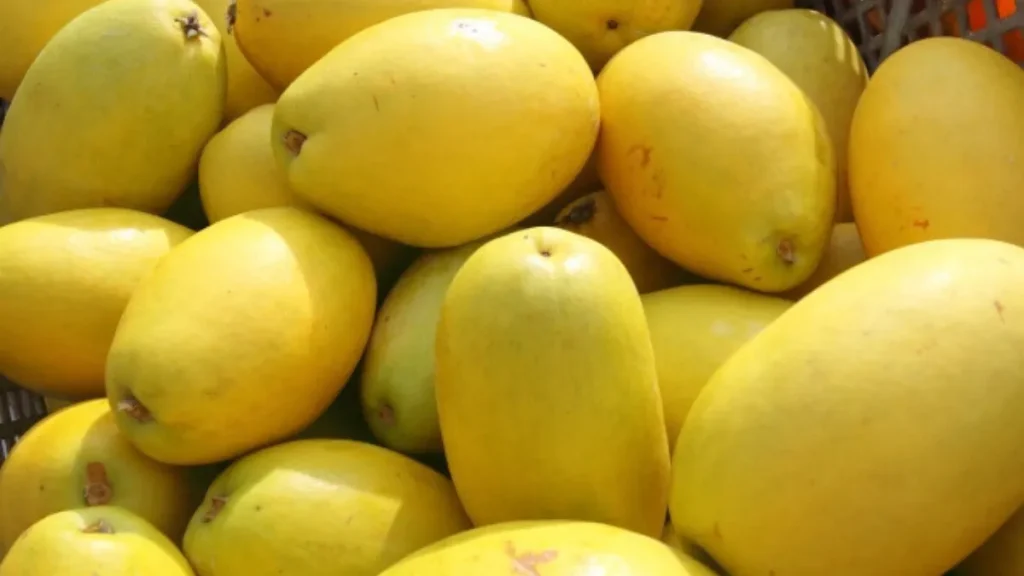 カリンの都道府県別生産量ランキング