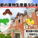 東京都の果物生産量ランキング