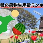 千葉県の果物生産量ランキング