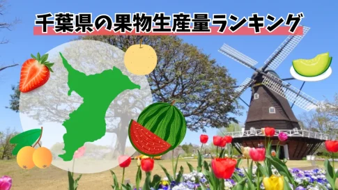 千葉県の果物生産量ランキング
