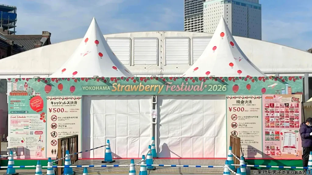 横濱ストフェス2026の入場料・支払い方法