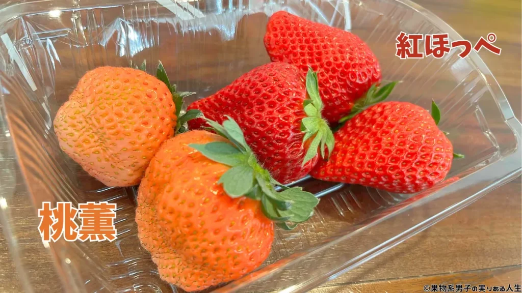 横浜農場のブランドいちご