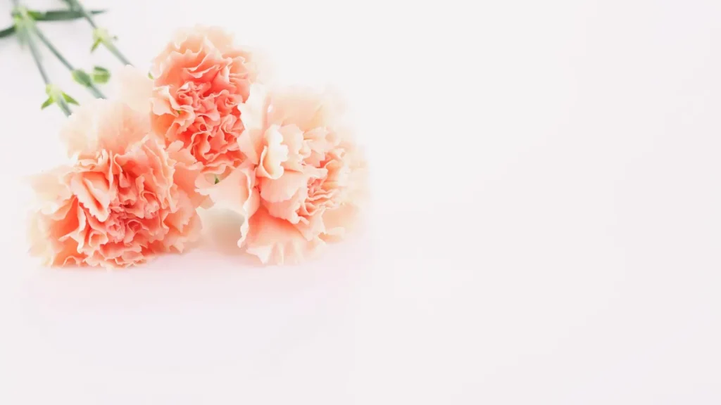 母の日フルーツギフトの失敗しない選び方