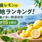 国産レモンの産地ランキング!生産量が多い都道府県TOP15を紹介