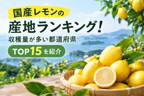国産レモンの産地ランキング！生産量が多い都道府県TOP15を紹介