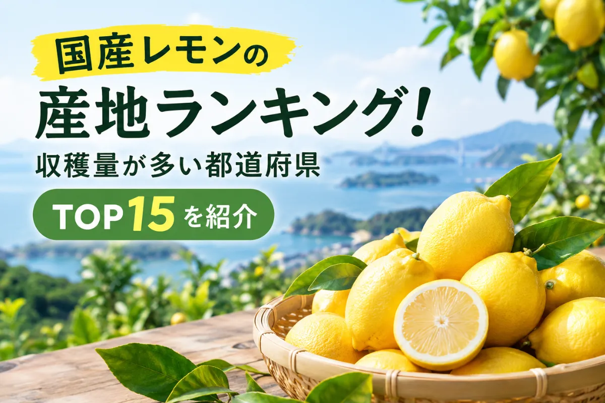 国産レモンの産地ランキング!生産量が多い都道府県TOP15を紹介